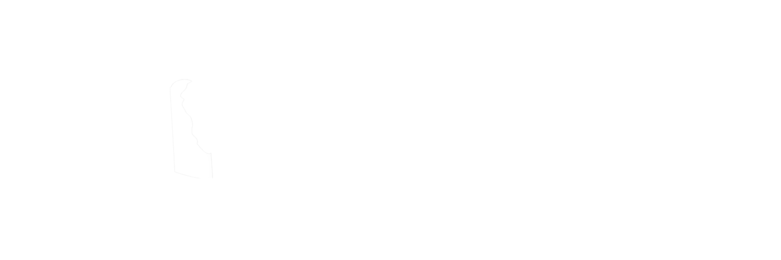 Delaware Black Chamber of Commerce Logo